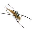 rubberleg stonefly